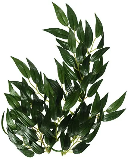 Exo Terra Ruscus medium